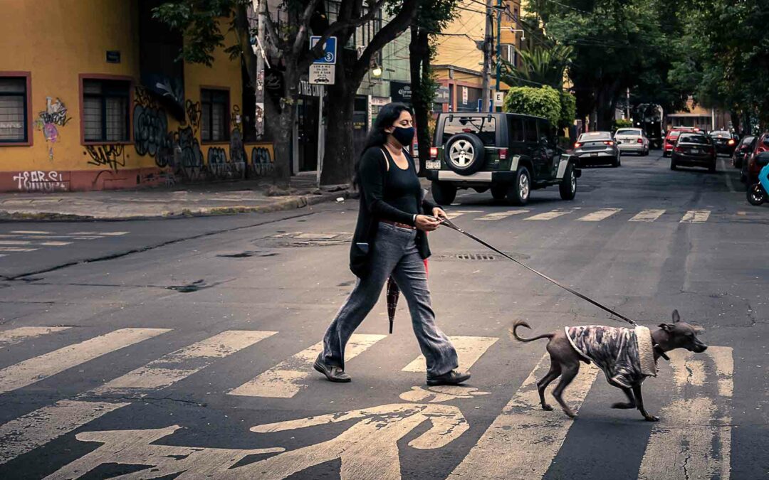 Mexico City – Die Stadtteile Roma & Condesa