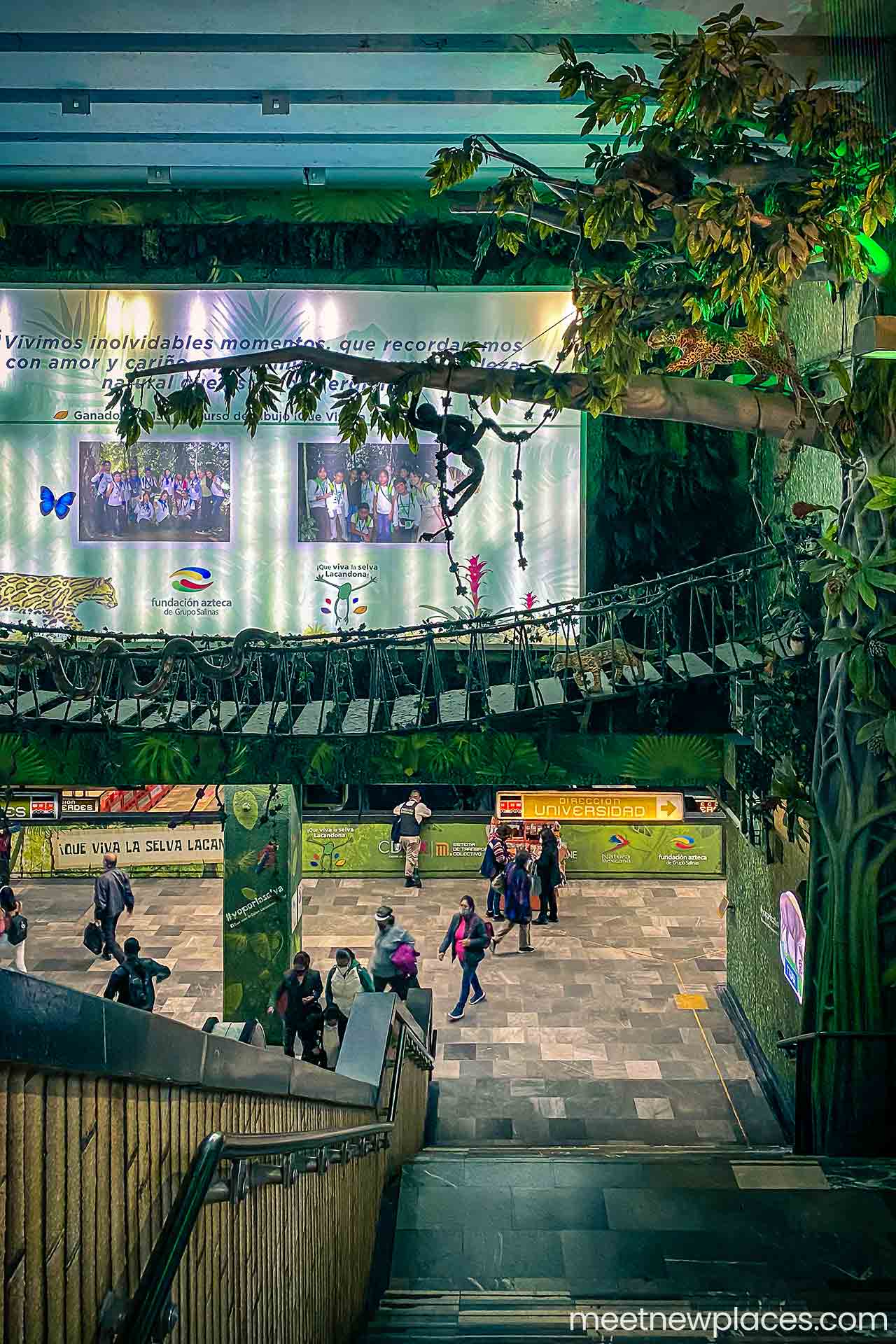 mexico-city-tore-latino-view-from-above-night-city-portrait