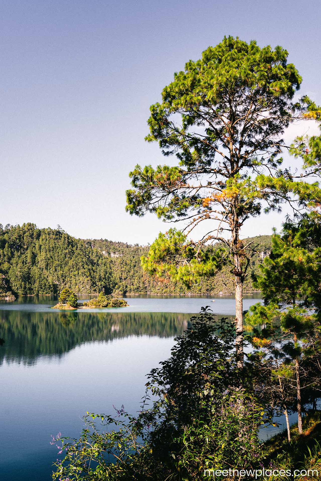 mexiko-lago-montebello-lago-through-trees-2x3-1280x1920