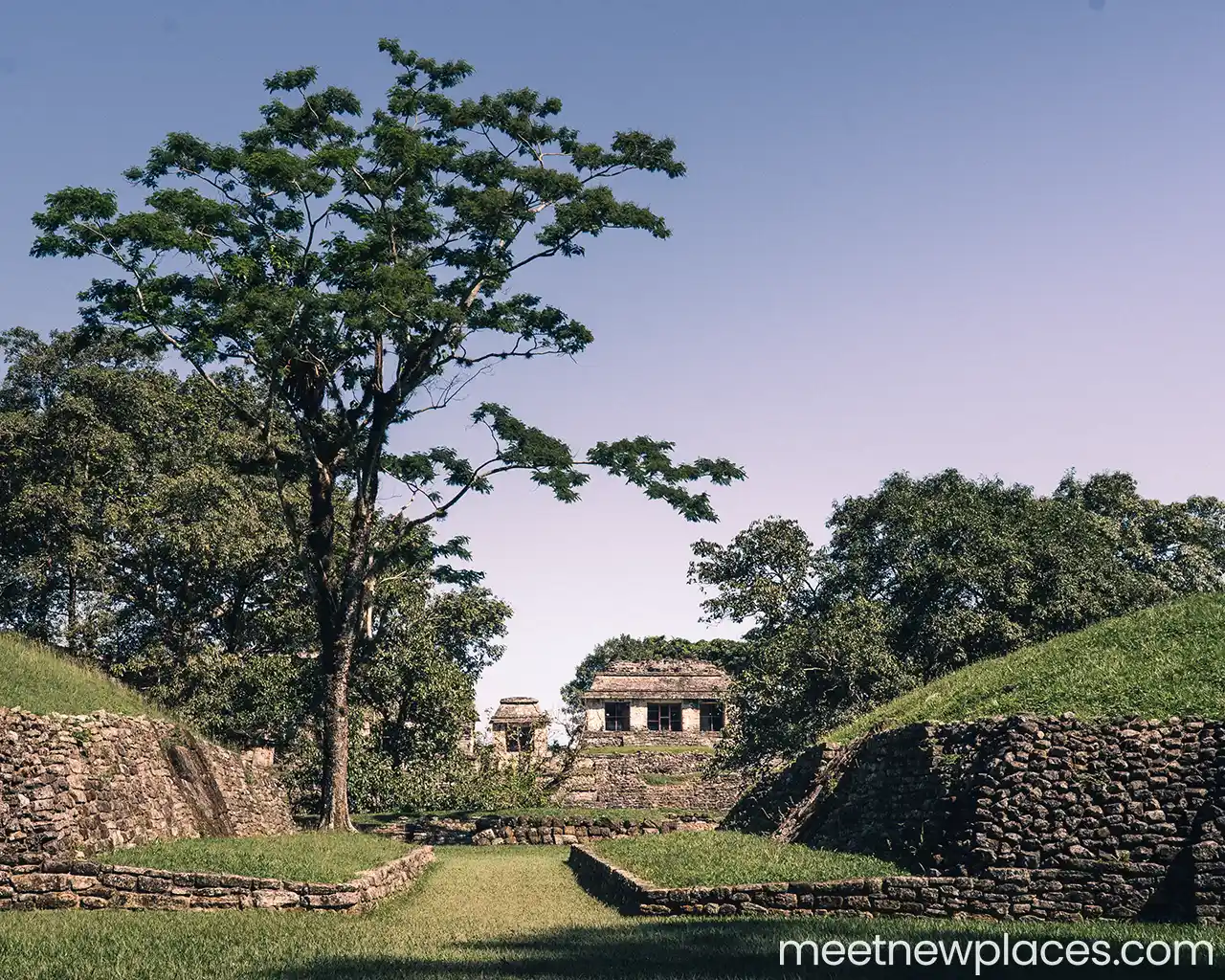 mexico-palenque-archeological-site-palace-1-280x1024-MQ