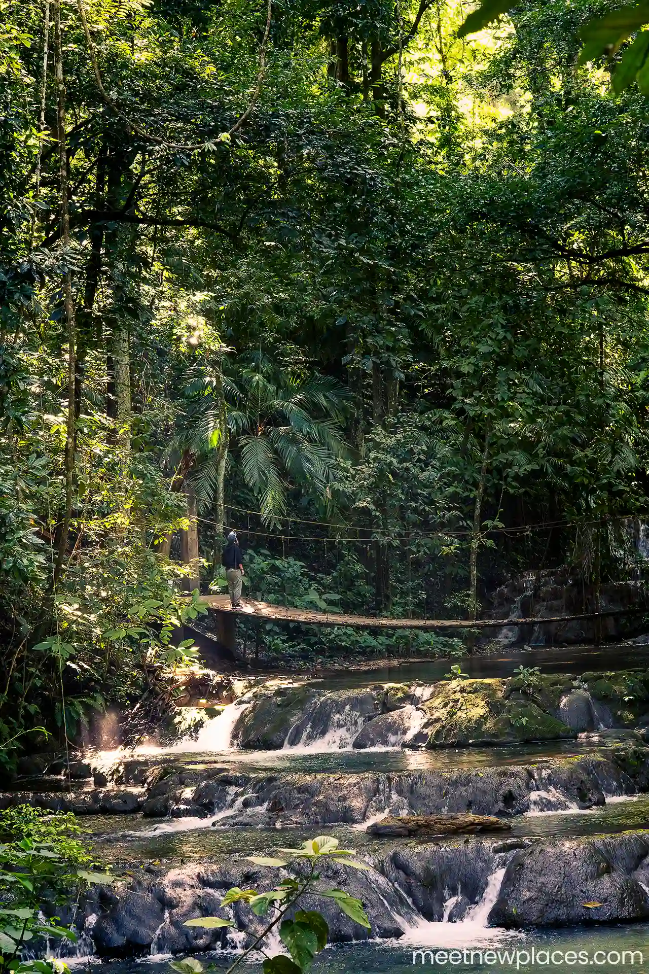 mexico-palenque-jungle-suspension-bridge-J-1280x1920-LQ