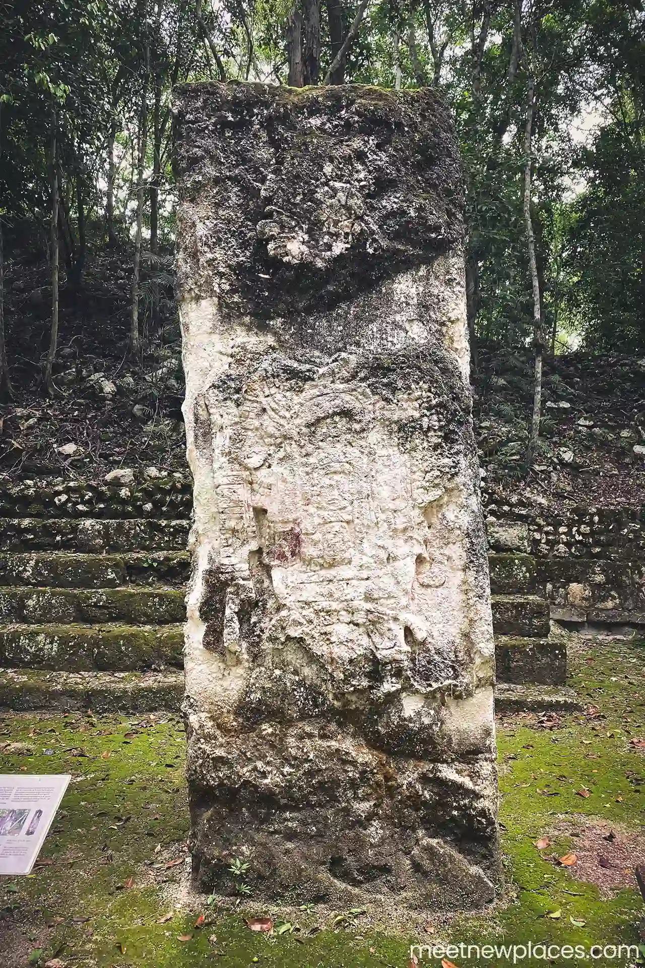 mexico-calakmul-estela8-1280x1920
