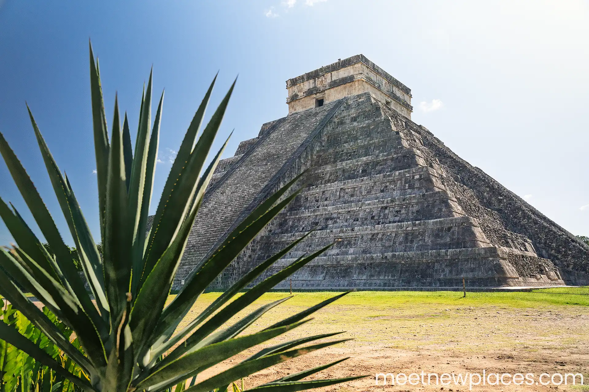 mexico-chichen-itza-agave-temple-of-kukulkan-1920x1200 mexico-city-zocalo-flag-tore