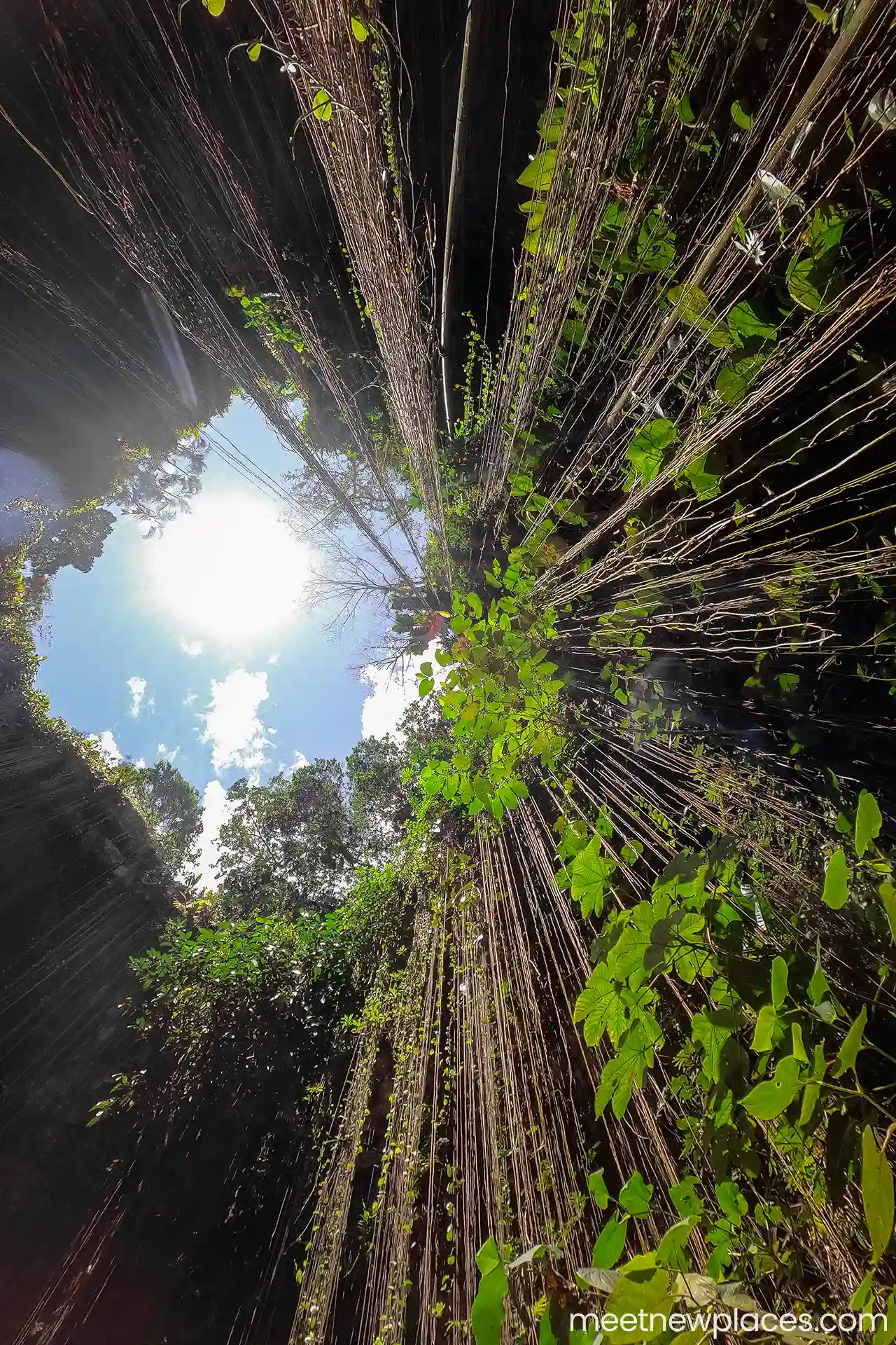 mexico-chichen-itza-cenote-ik-kil-1280x1920