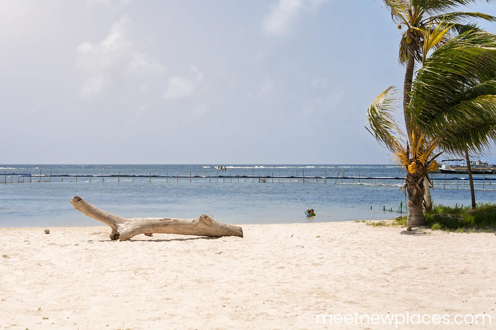 mexico-mahahual-beach-driftwood-1920x1280 mexico-city-zocalo-flag-tore