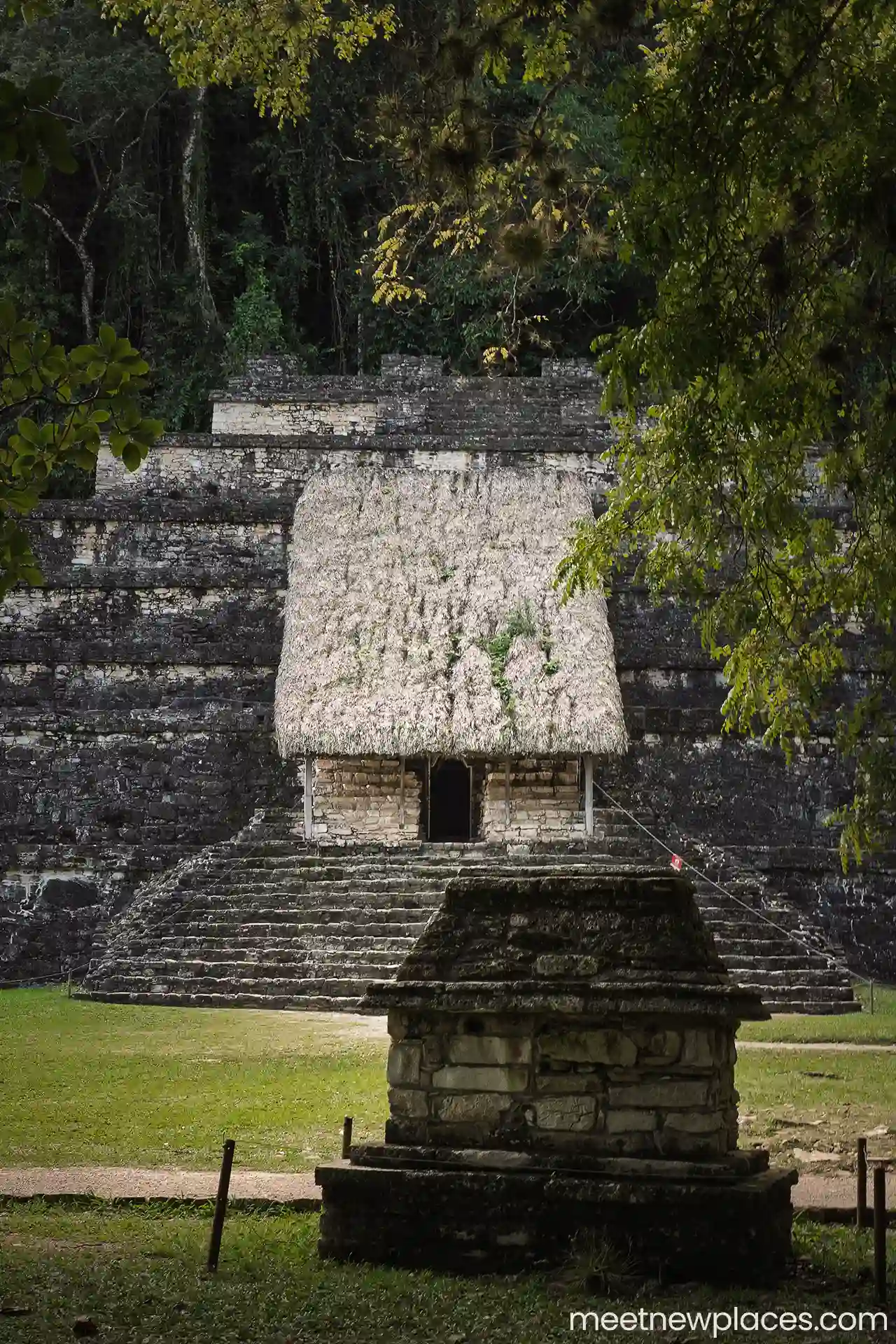 mexico-palenque-archeological-site-1280x1920-LQ