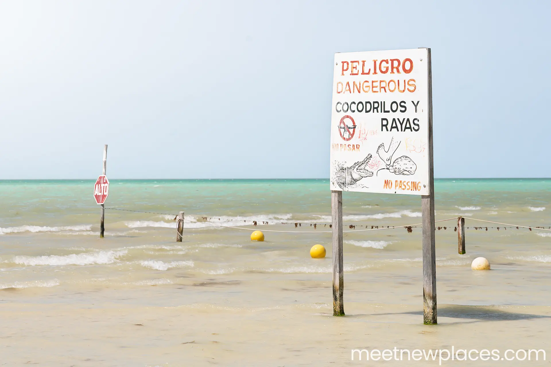 mexico-holbox-birds-island-1-1920x1280 valladolid plaza mayor