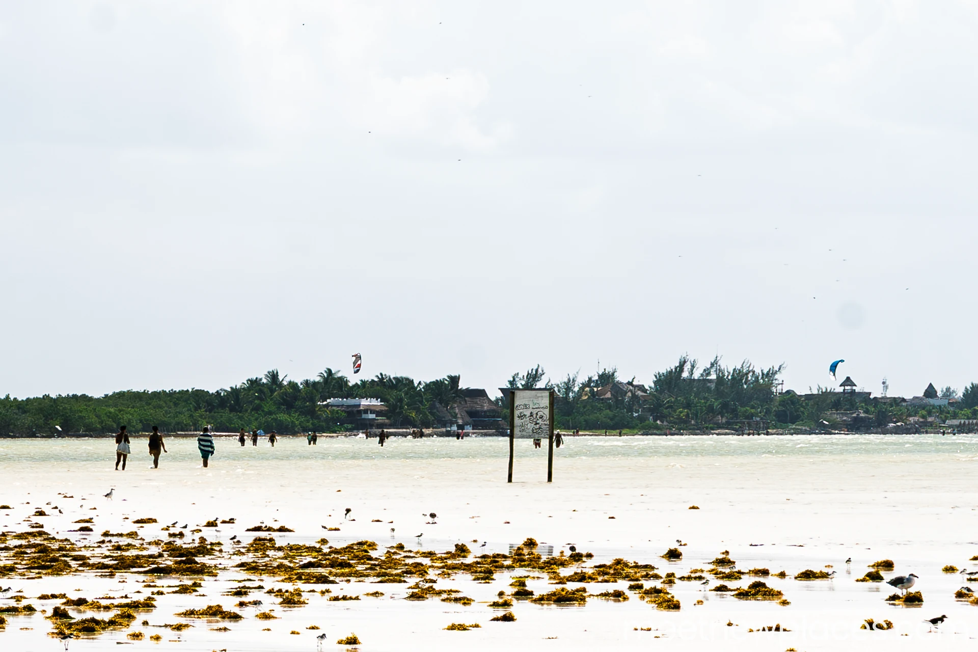 mexico-holbox-sandbank-1920x1280 valladolid plaza mayor