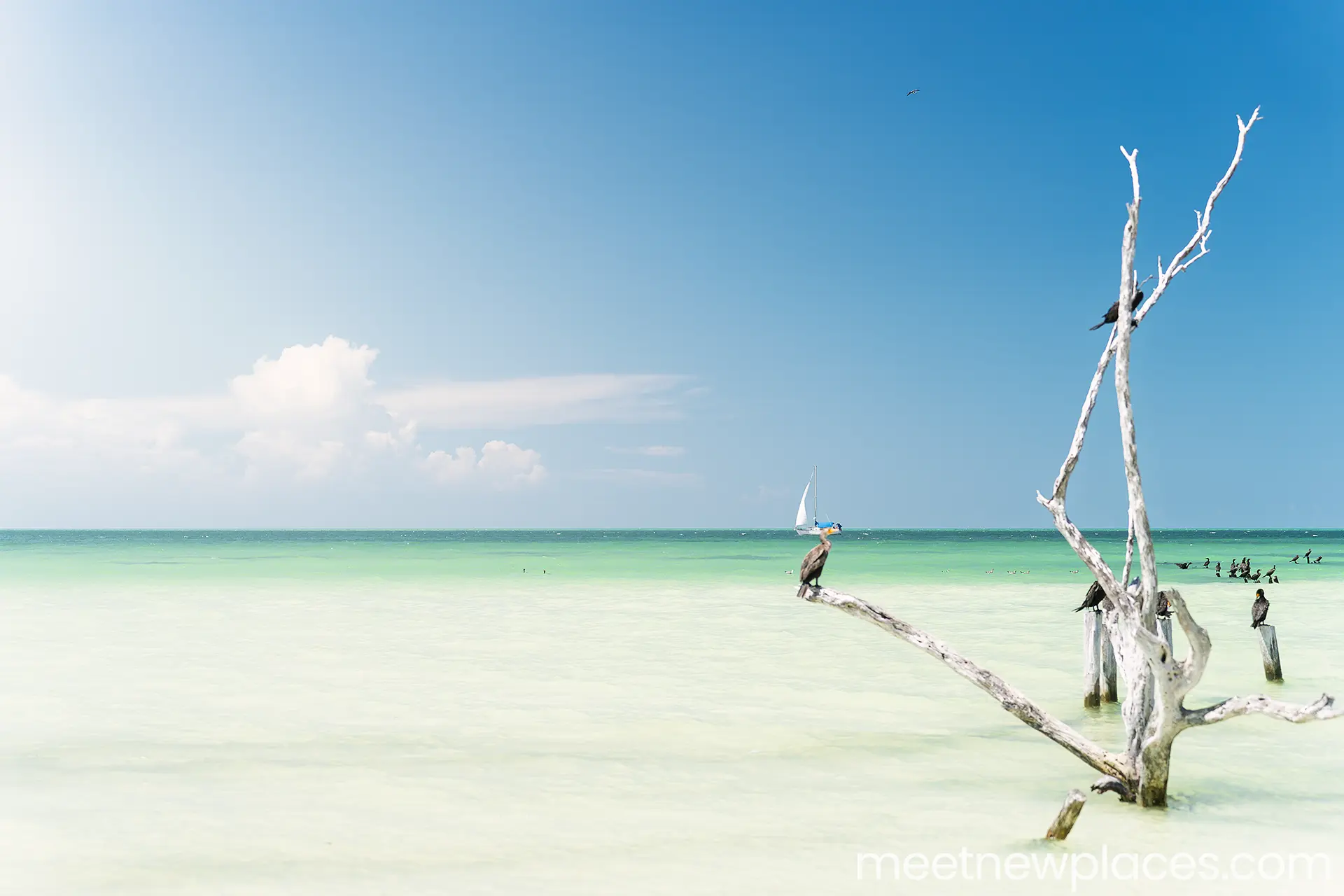 mexico-holbox-seaview-1920x1280