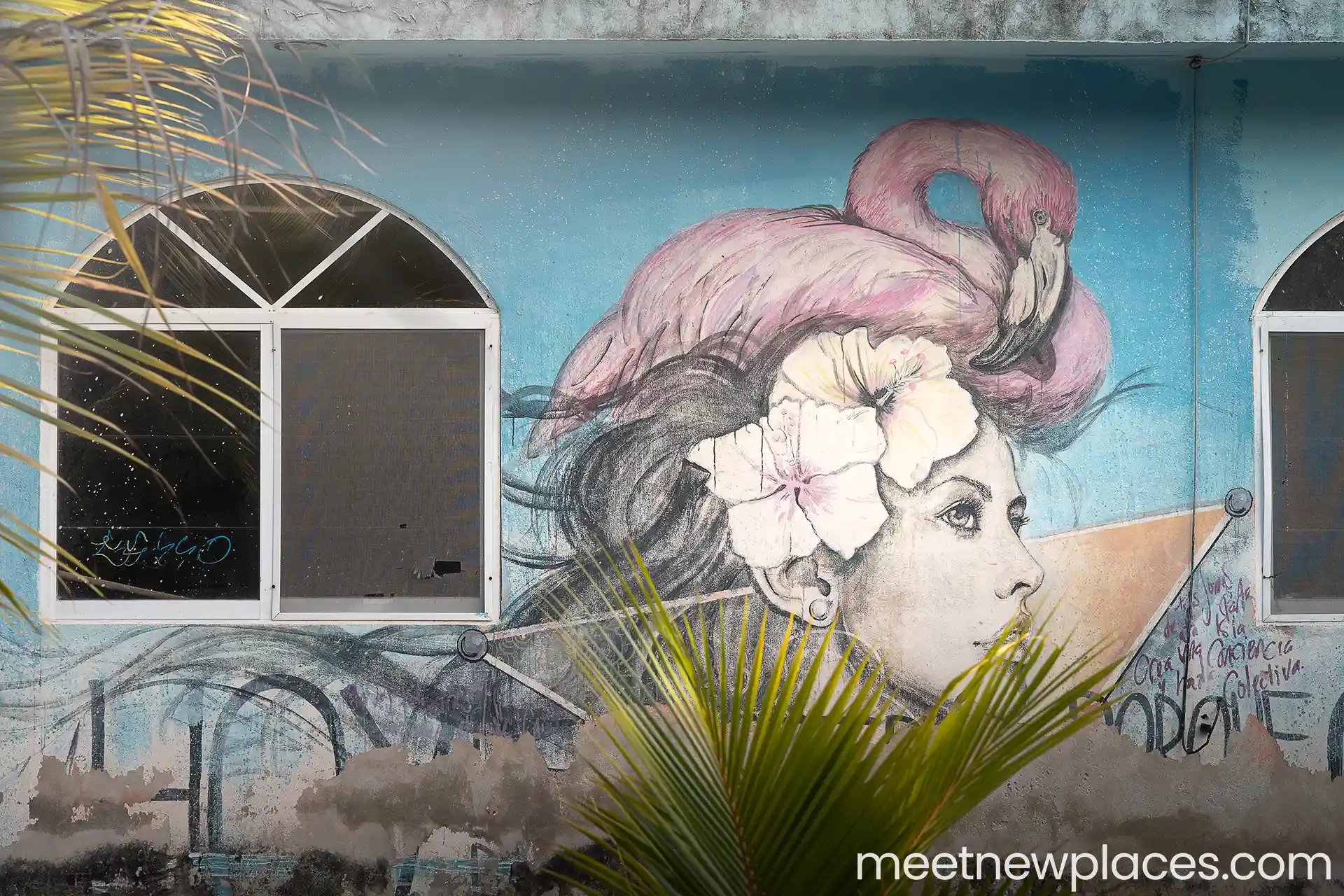 mexico-holbox-streetart-woman-flamingo-1920x1280 valladolid plaza mayor