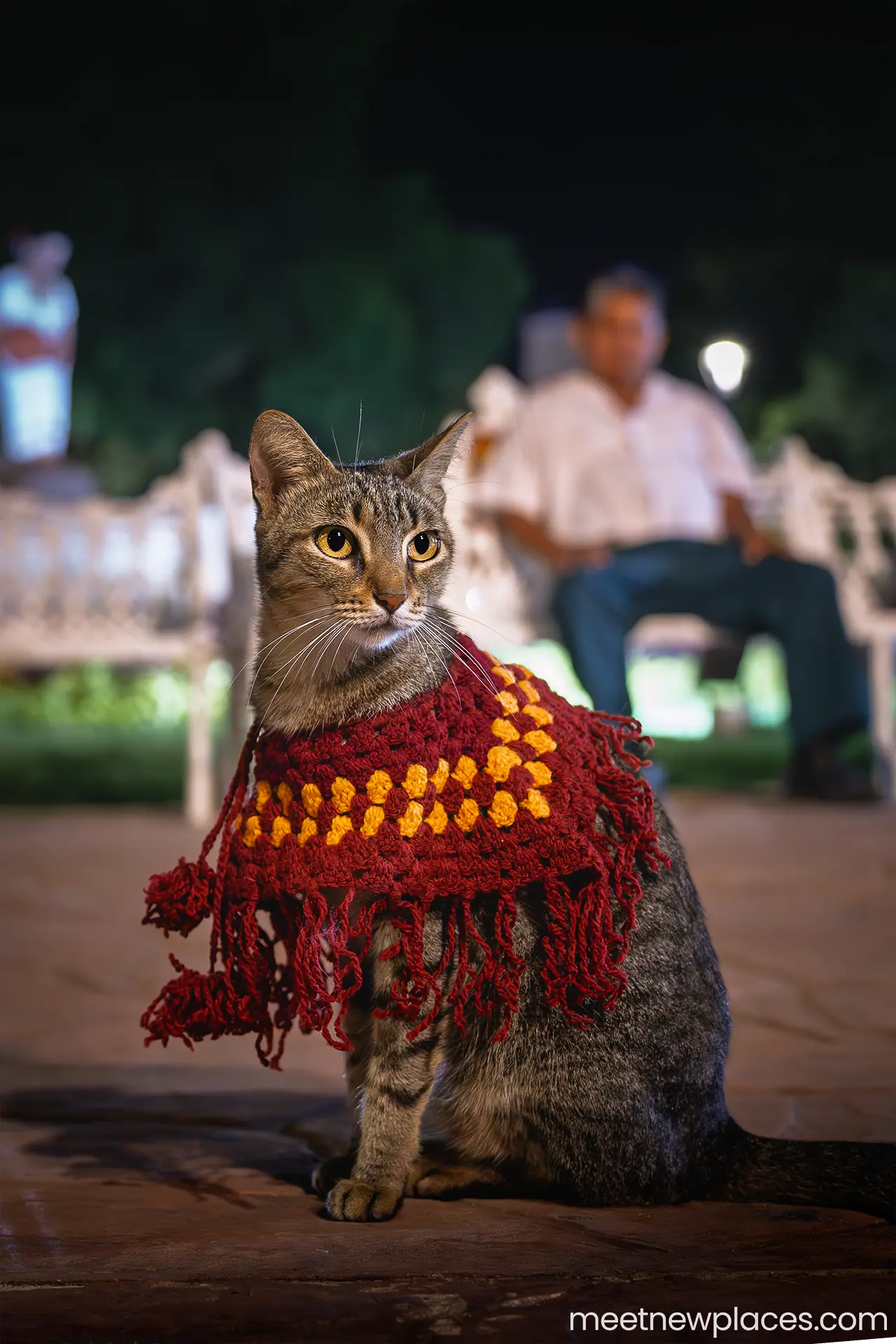 mexico-valladolid-la-michi-vaillisoletana-cat-plaza-mayor-1280x1920 valladolid la michi