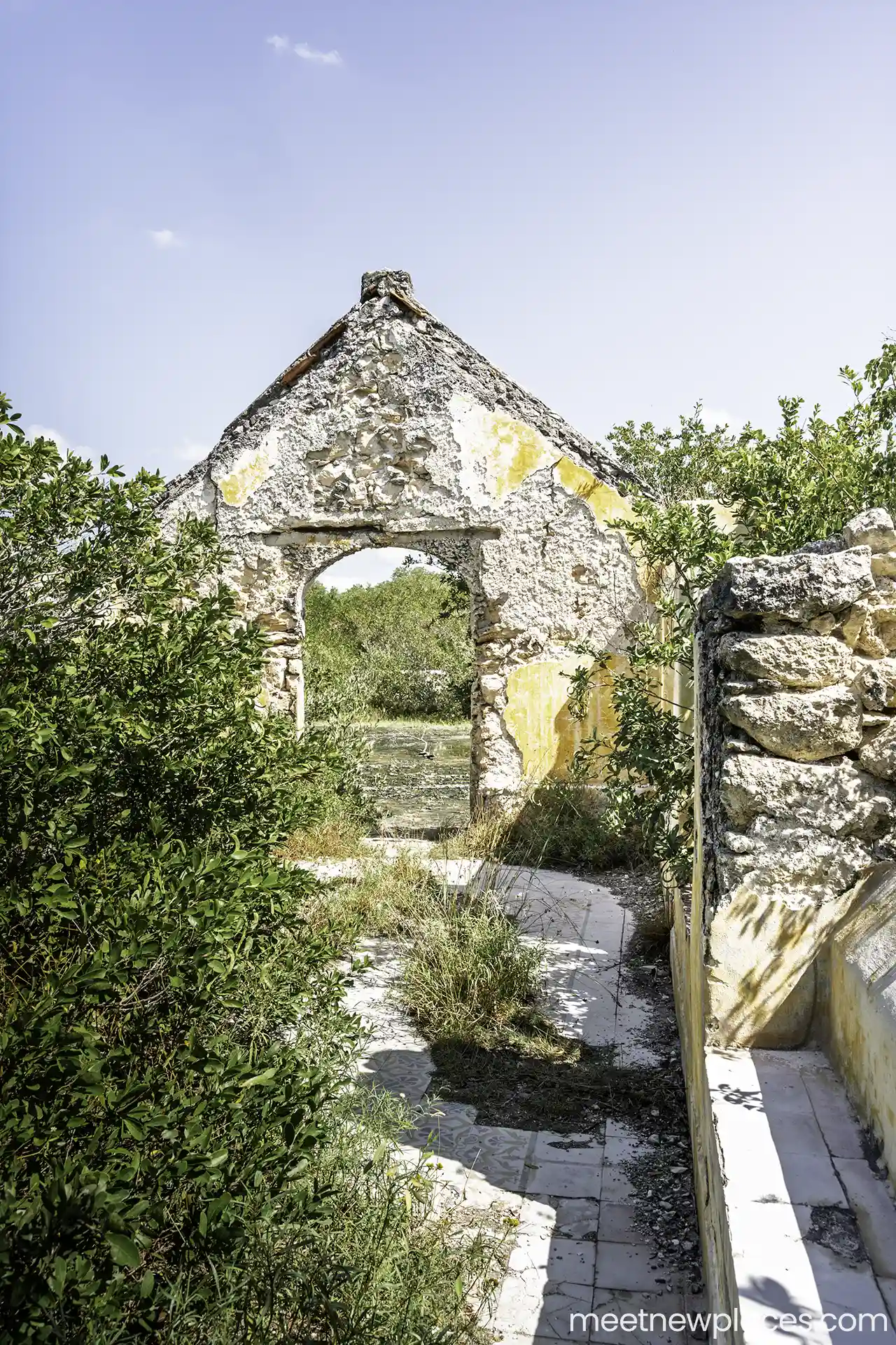 mexico-city-tore-latino-view-from-above-night-city-portrait