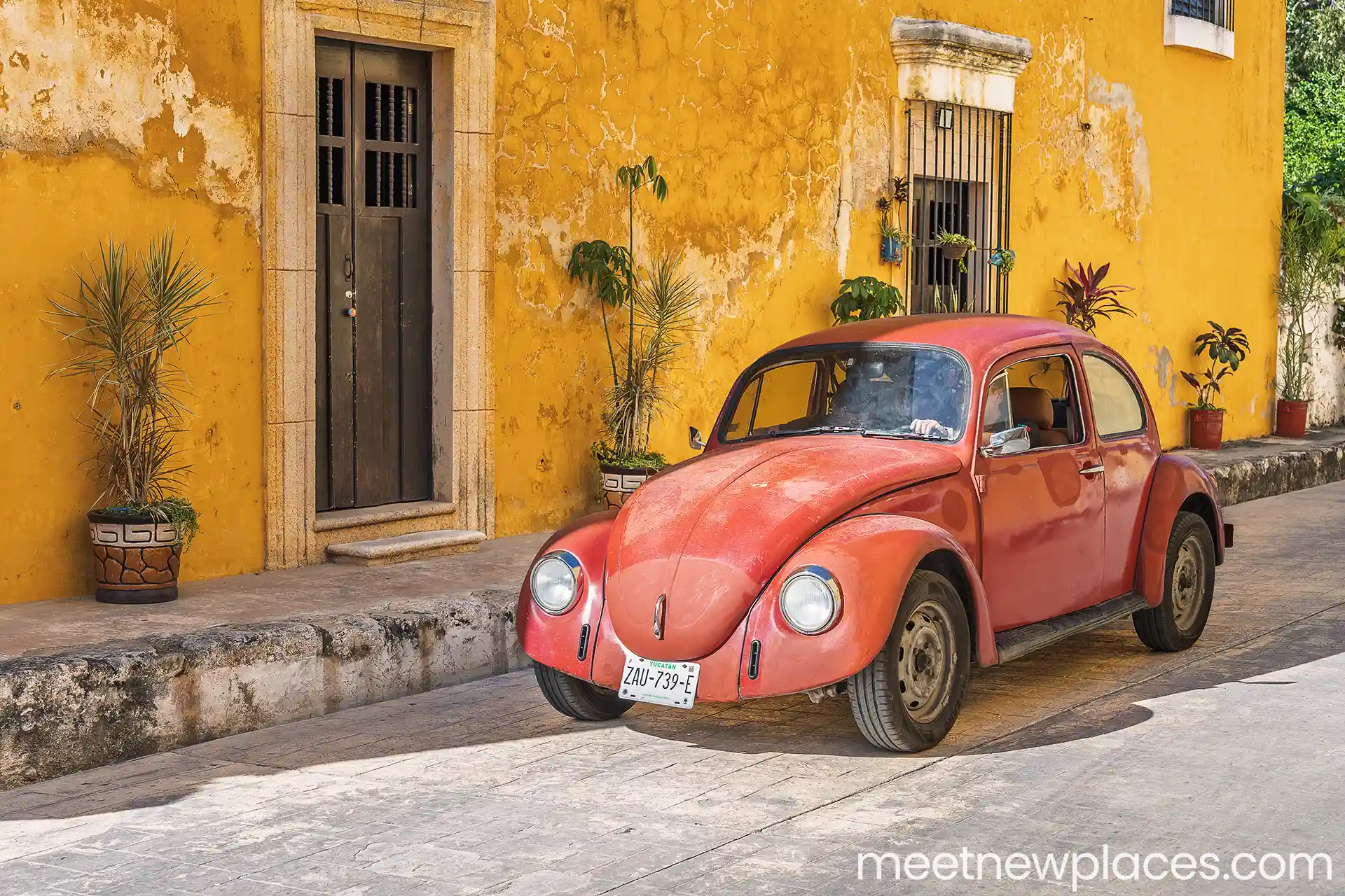 valladolid plaza mayor 