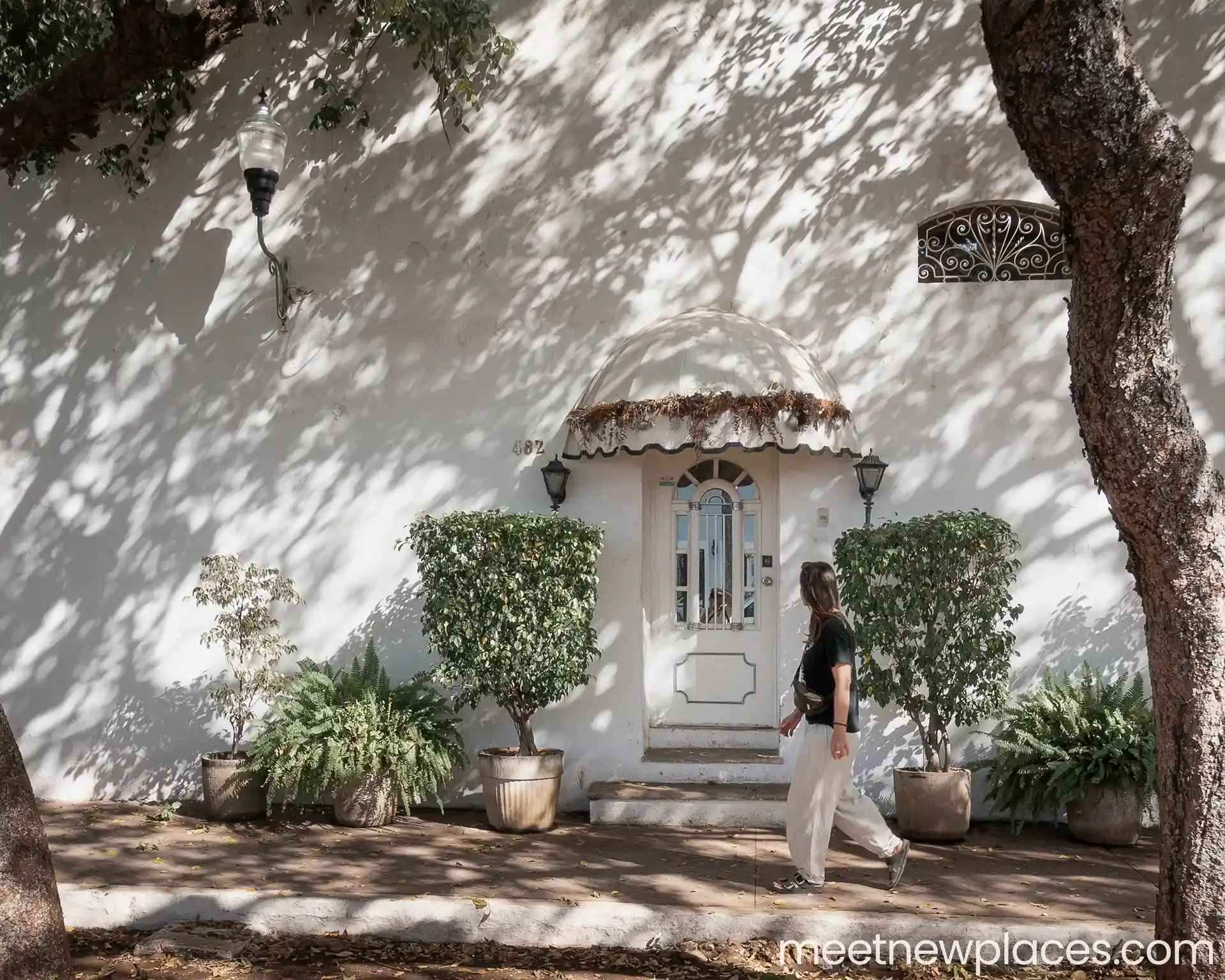 valladolid plaza mayor 