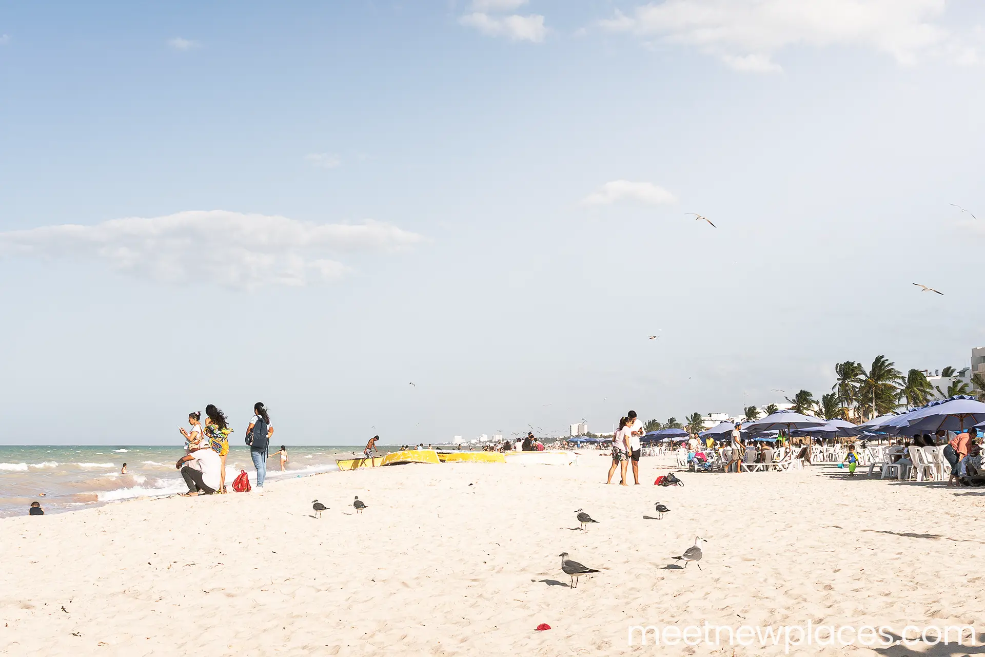 mexico-city-zocalo-flag-tore