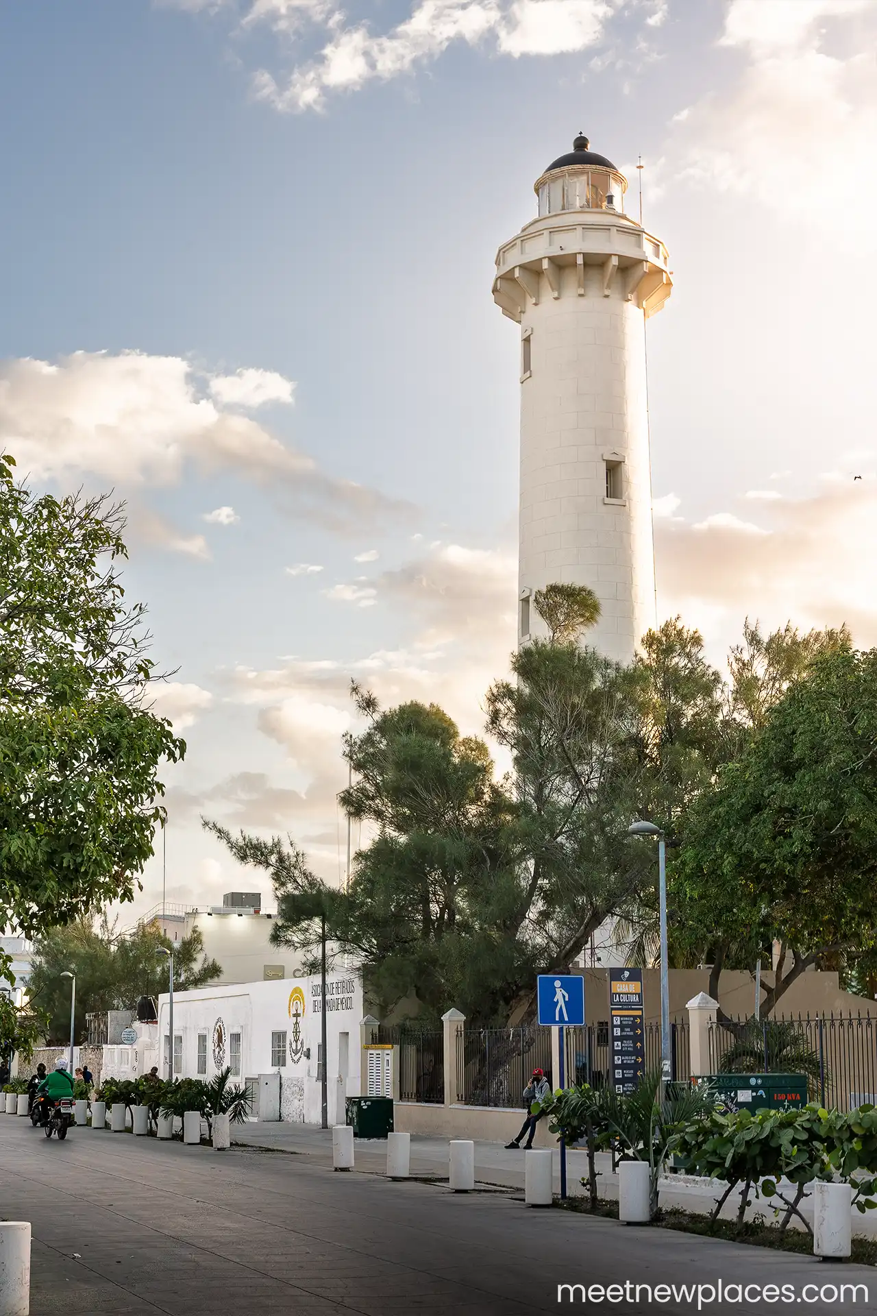 mexico-city-zocalo-flag-tore