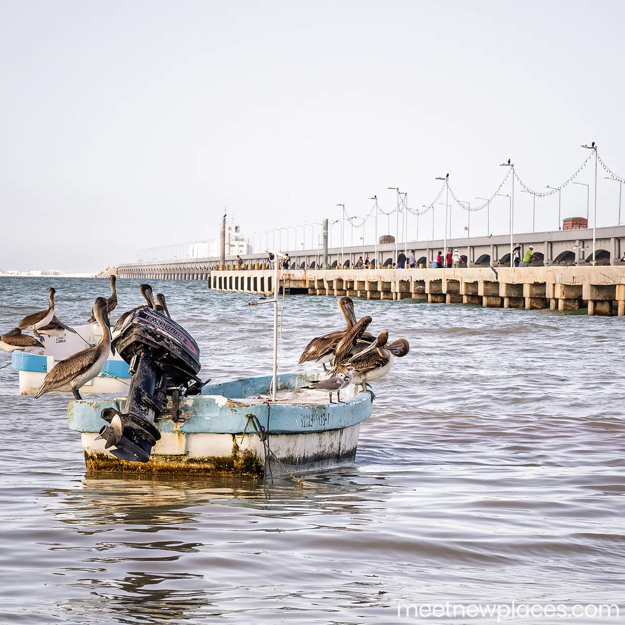 mexico-city-zocalo-flag-tore