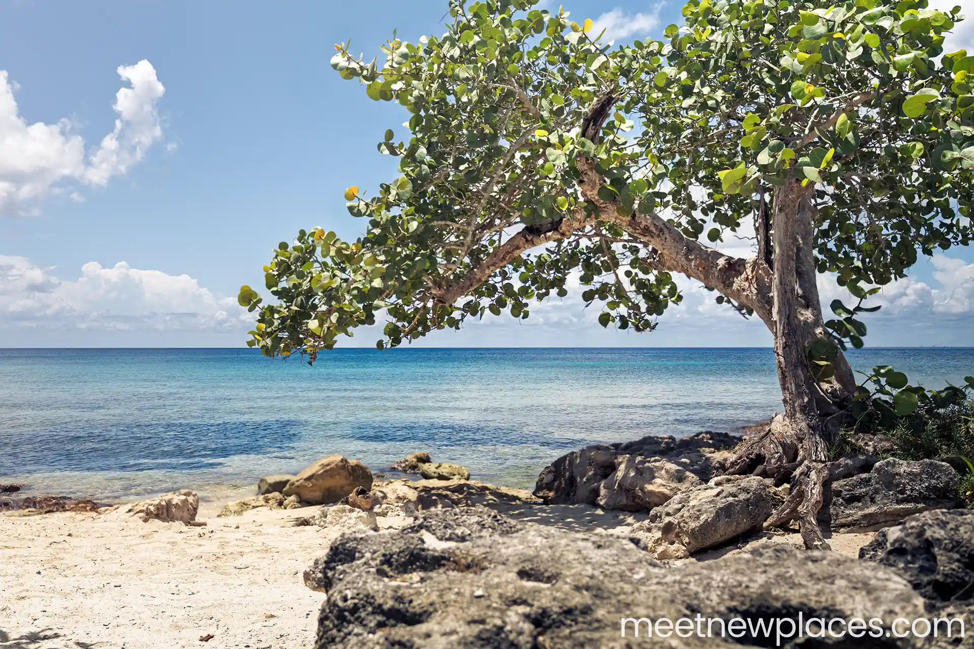 valladolid plaza mayor 