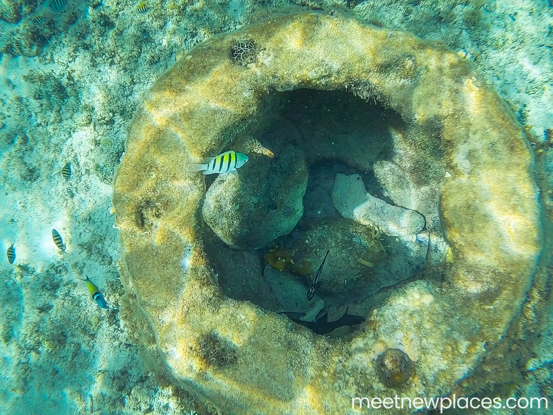 valladolid plaza mayor 