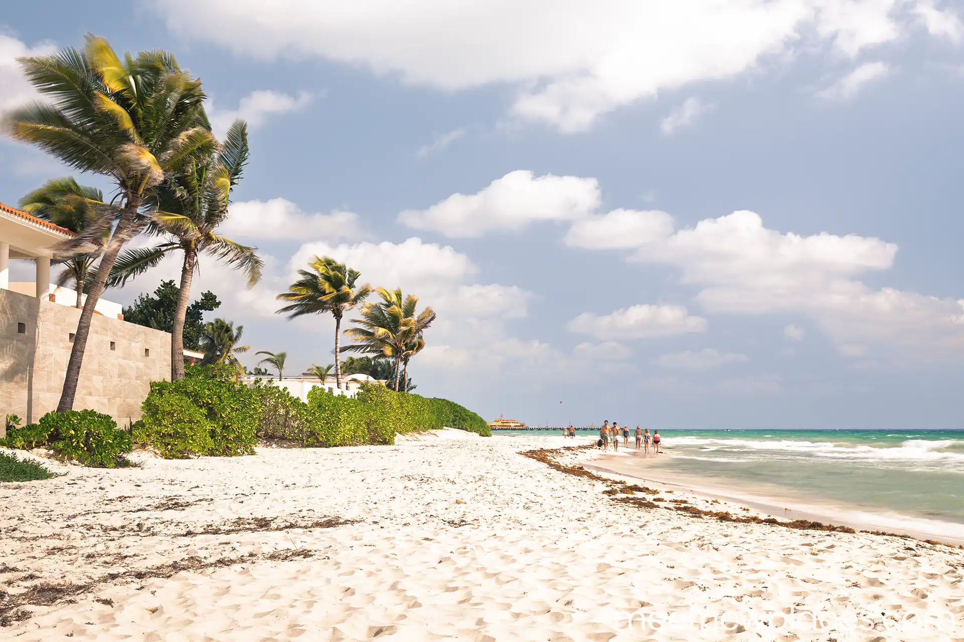 valladolid plaza mayor 